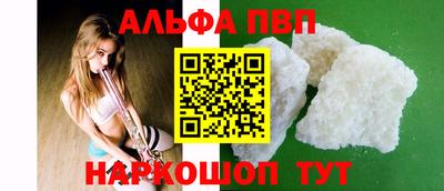 стаф Кингисепп