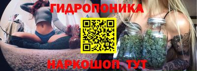 индика Кинель