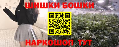 индика Кинель