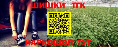 индика Кинель
