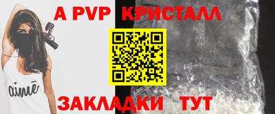 стаф Кингисепп