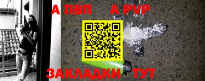 стаф Кингисепп