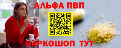 стаф Кингисепп