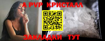 стаф Кингисепп