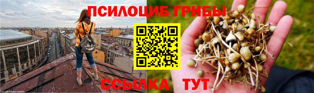 Псилоцибиновые грибы MAGIC MUSHROOMS Костомукша
