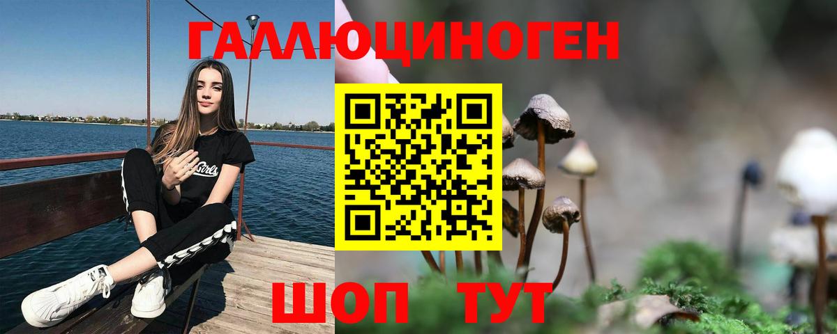 Псилоцибиновые грибы GOLDEN TEACHER  Вход с VPN  Костомукша  Галлюциногенные грибы мухоморы 